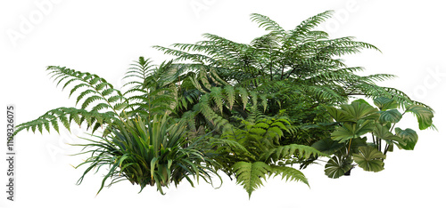 3d render small garden with tropical plants on transparent background	