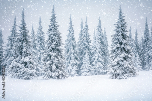 Wallpaper Mural Snowy fir trees in winter landscape. (1) Torontodigital.ca