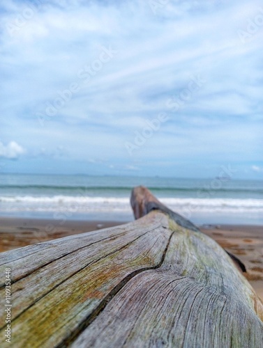Old wood on the beach 
