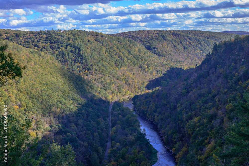 Obraz premium Pine Creek and the Grand Canyon of Pennsylvania at Colton State Park, in Watson Township, Pennsylvania.