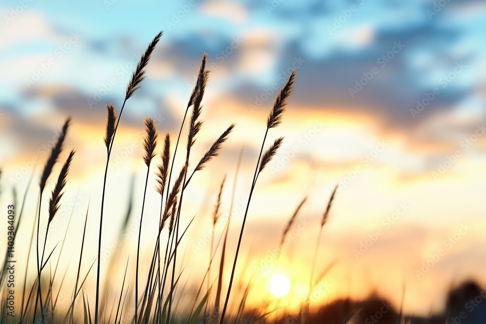 Silhouetted grass sways gently in a serene field at sunset, with a glowing sky casting warm hues across the horizon Silhouetted grass sways gently in a serene field at sunset, with a glowing sky casting warm hues across the horizon