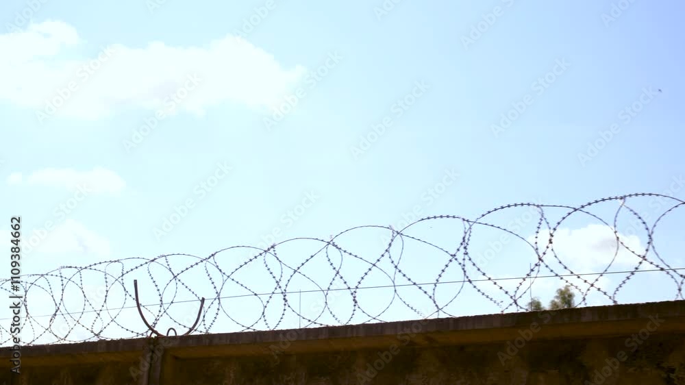 barbed wire on the fence. Elective focus. barbed wire on the fence. Elective focus.