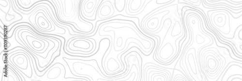Black on white contours vector topography stylized height of the lines. Abstract gray topography contour map background design