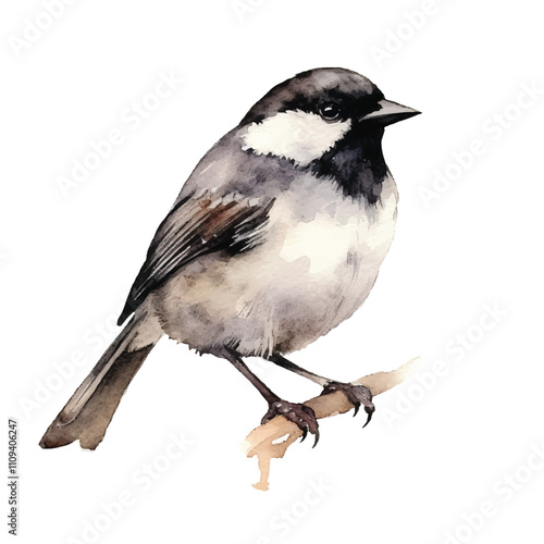 watercolor Sparrow isolated white background