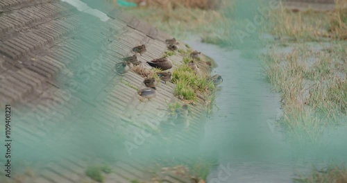 冬の東京郊外 多摩川沿いの午後の風景