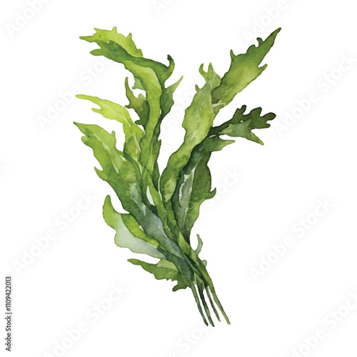watercolor Seaweed isolated white background