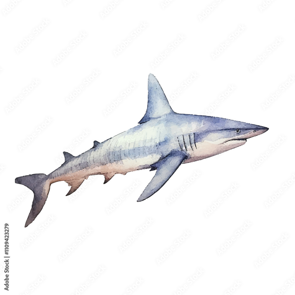 watercolor Shark isolated white background watercolor Shark isolated white background