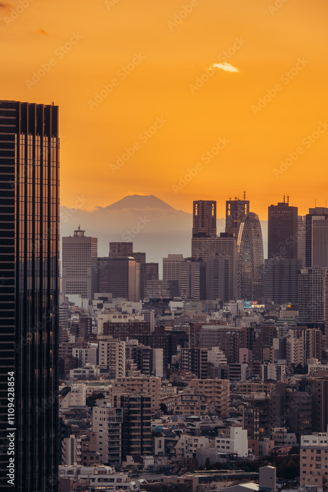 Fototapeta premium Mt. Fuji sunset from Tokyo, Japan