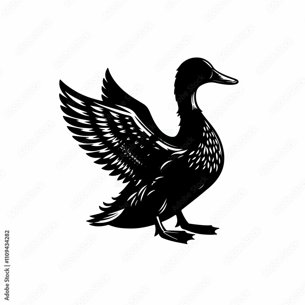 Fototapeta premium duck isolated on white background