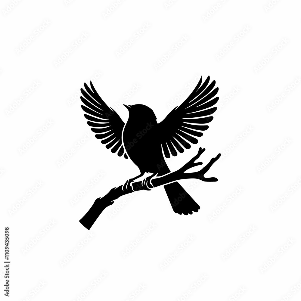 Fototapeta premium bird in flight