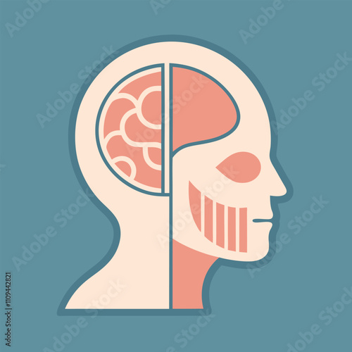 Anatomical details of a human head vector illustration.
