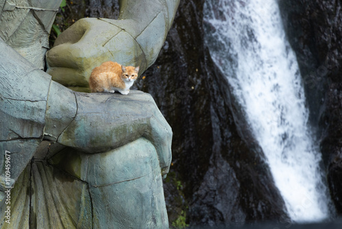 The image shows a small orange and white cat sitting on a large stone sculpture in Sarpi, Georgia. The sculpture appears to be part of a larger statue, and there is a waterfall in the background. photo