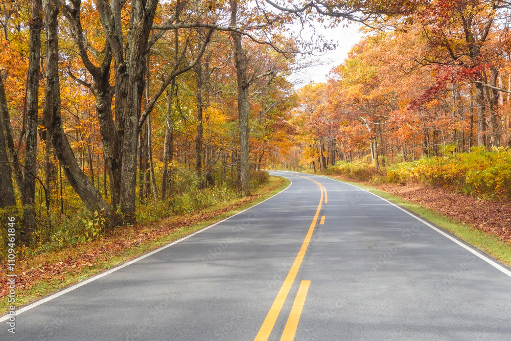 Shenandoah National Park - Virginia, United States Shenandoah National Park - Virginia, United States