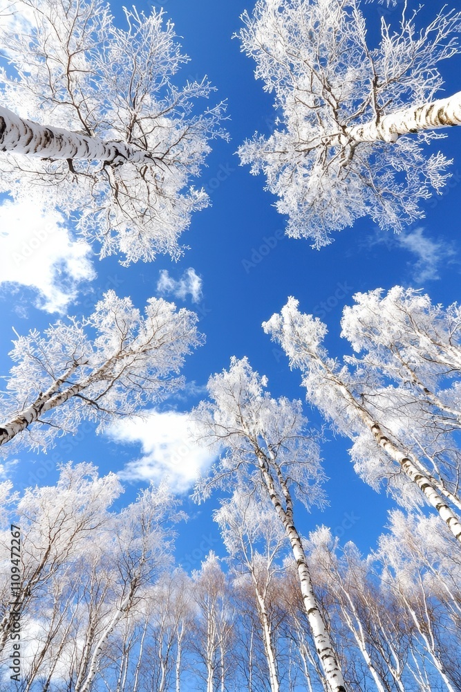 A serene view of frosted trees against a clear blue sky. A serene view of frosted trees against a clear blue sky.