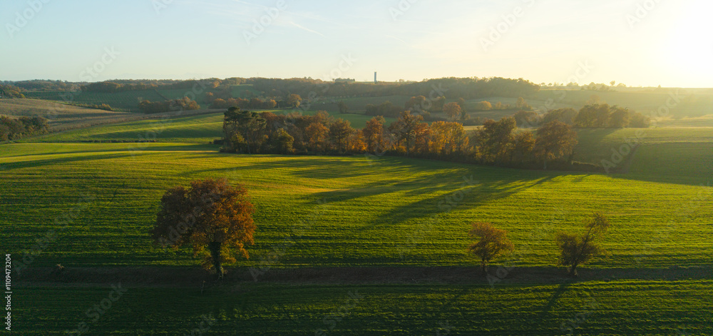Fototapeta premium Panorama d'automne