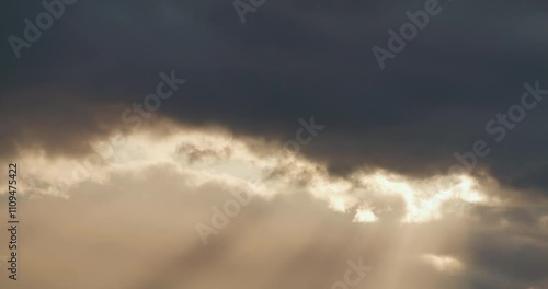 冬の東京郊外 多摩川沿いの午後の風景