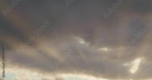 冬の東京郊外 多摩川沿いの午後の風景