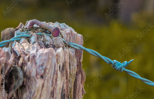 poles with barbed wire photo