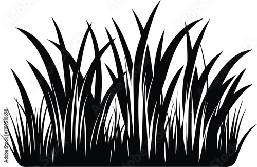 Black and White Grass Blades Illustration, Nature Design Element