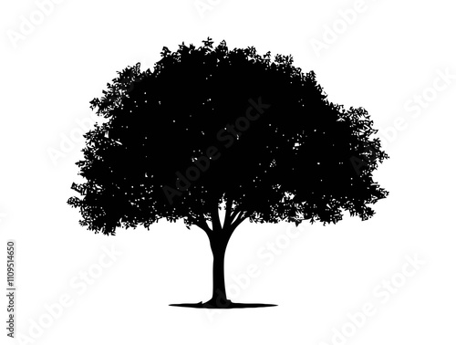 Haw tree silhouette vector illustration