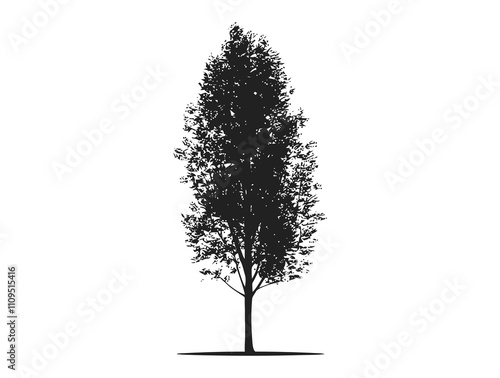 Alder tree silhouette vector illustration