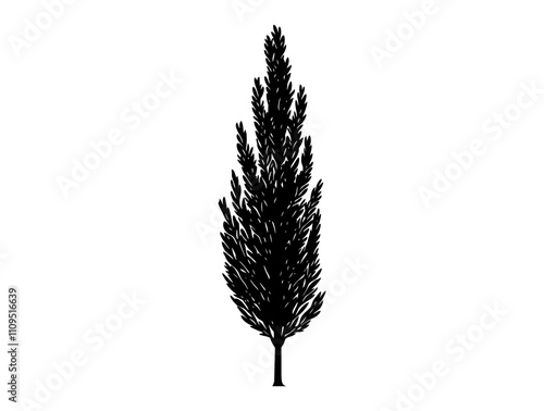 Arborvitae tree silhouette vector illustration