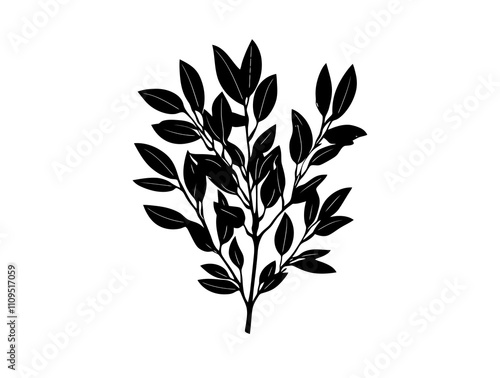 Bay Laurel tree silhouette vector illustration