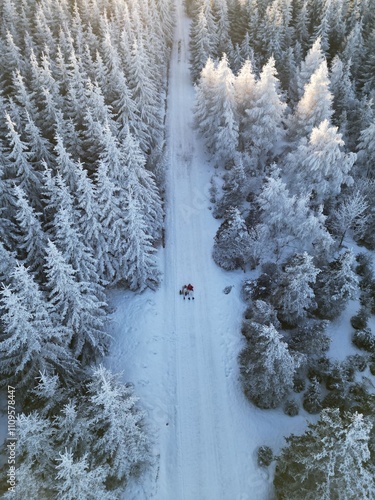 Aerial view of a snowy forest with a narrow path and hikers in winter. Scenic winter landscape photography with frosted trees and tranquil atmosphere. Adventure and nature conceptt photo