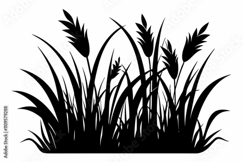 Grass vector silhouette black design white background
