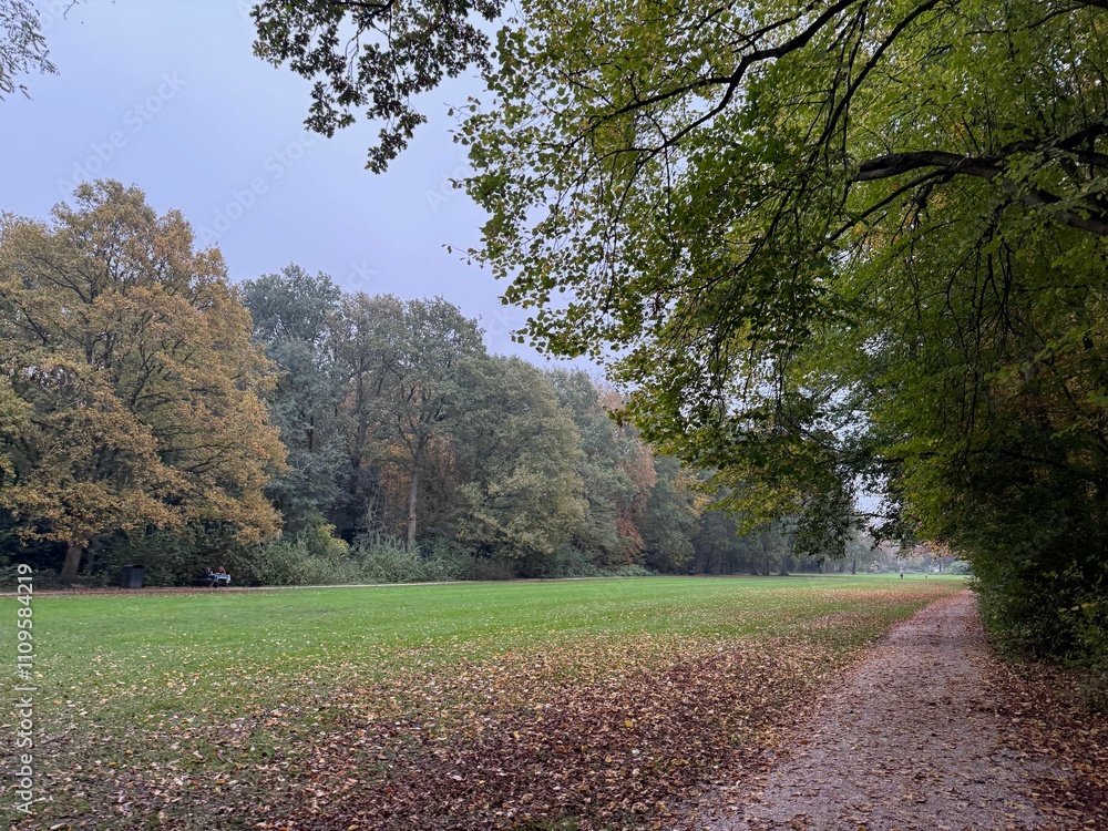 Fototapeta premium Beautiful view of pathway with fallen leaves in autumn park