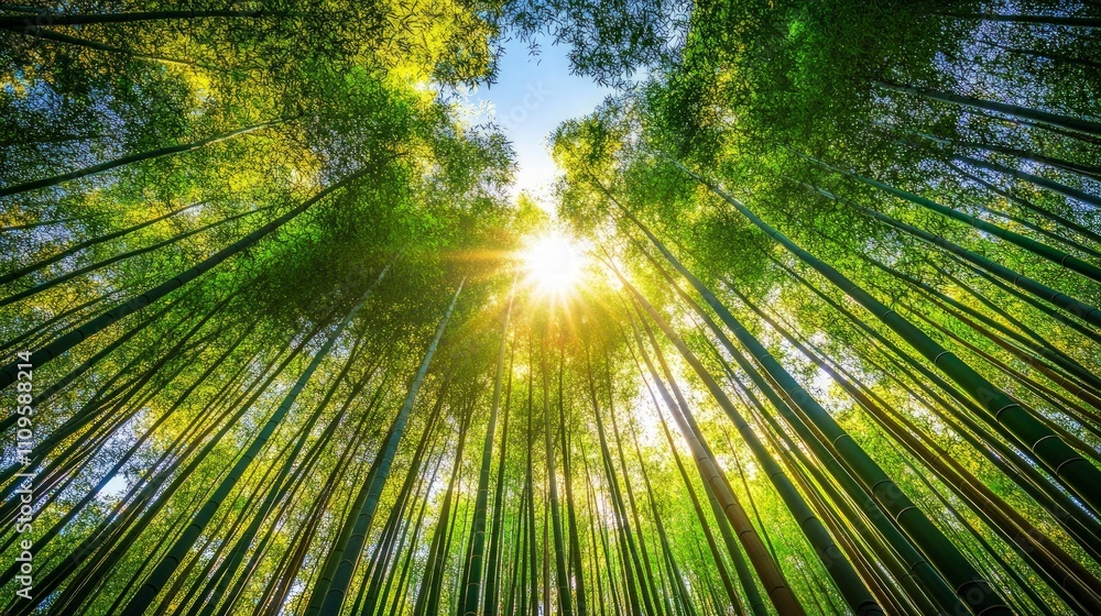 Lush Bamboo Serenity, a tranquil green bamboo forest enveloping viewers in a calming ambiance, perfect for relaxation areas or wellness retreats Lush Bamboo Serenity, a tranquil green bamboo forest enveloping viewers in a calming ambiance, perfect for relaxation areas or wellness retreats