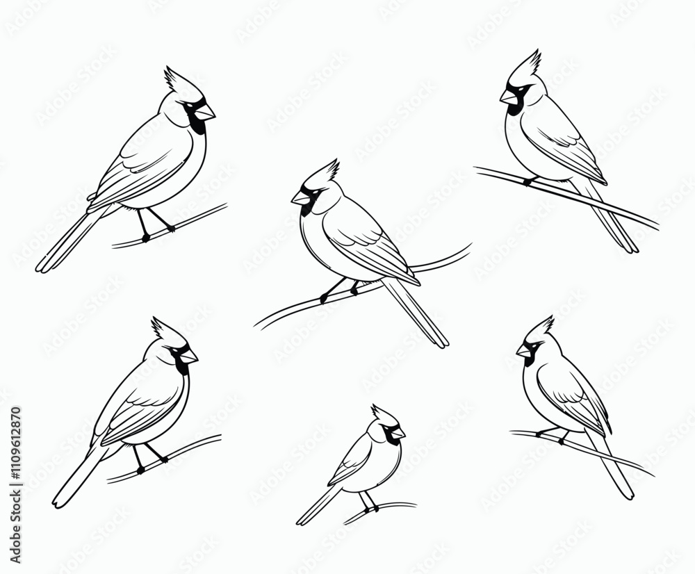 Fototapeta premium Minimalist Cardinal Outline Silhouette Set