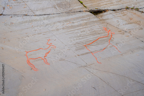 The Rock Art of Alta in Norway