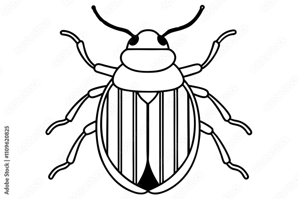 beetle beetle