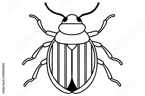 beetle
