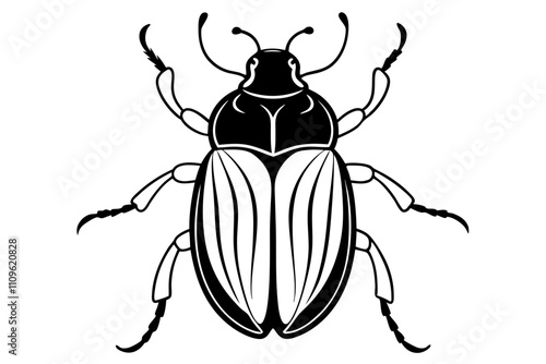 stag beetle isolated on white