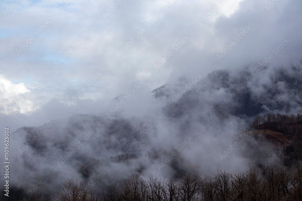 A foggy mountain with clouds and trees in the foreground A foggy mountain with clouds and trees in the foreground