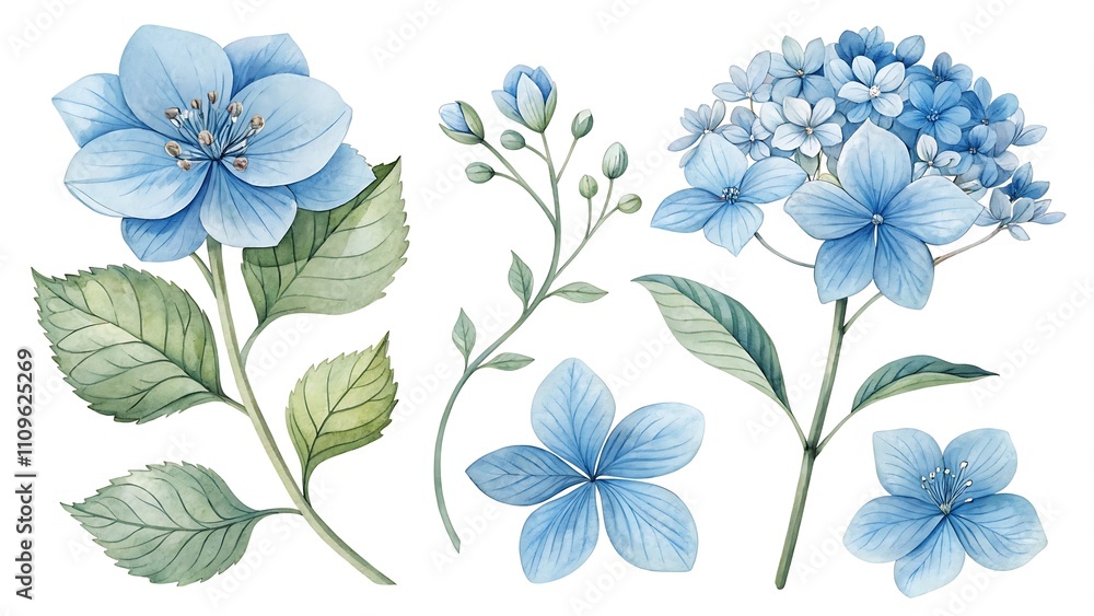 Fototapeta premium Watercolor blue Flower and leaf