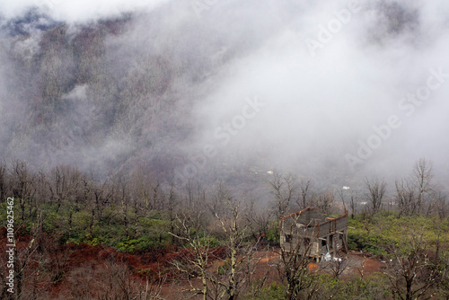 A house in a forest with a fogcovered mountain in the background photo