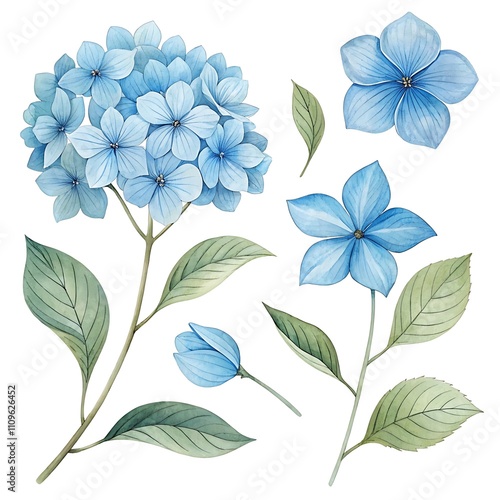 Watercolor blue Flower and leaf