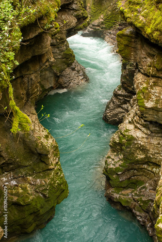 A Serene River Canyon That Is Surrounded by a Beautiful, Lush Greenery In Nature