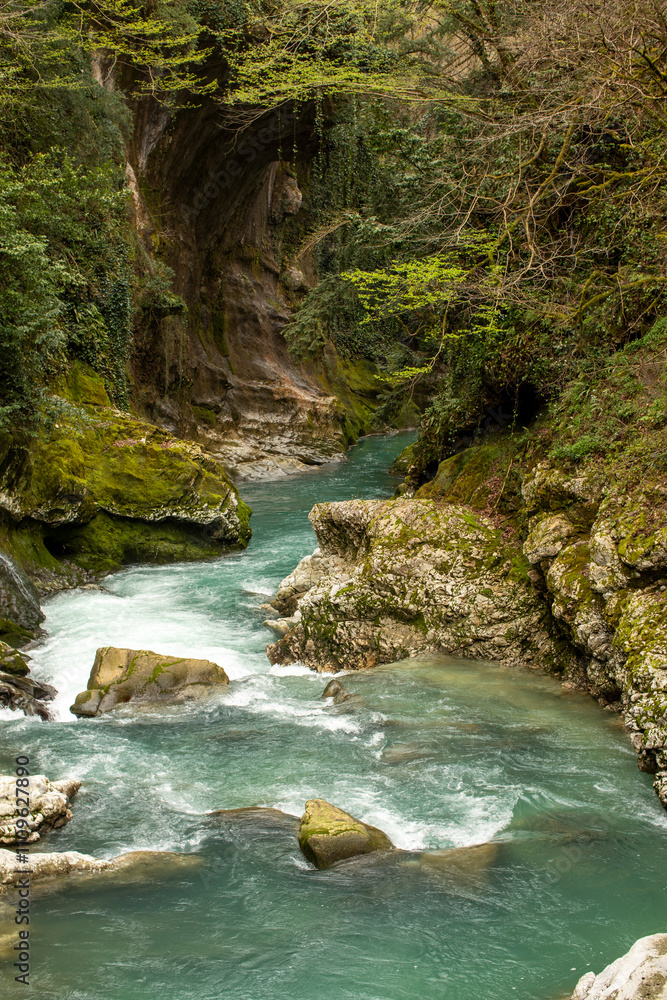 A Serene River Canyon That Is Surrounded by a Beautiful, Lush Greenery In Nature A Serene River Canyon That Is Surrounded by a Beautiful, Lush Greenery In Nature
