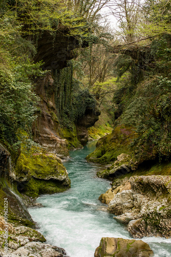 A Serene River Canyon That Is Surrounded by a Beautiful, Lush Greenery In Nature