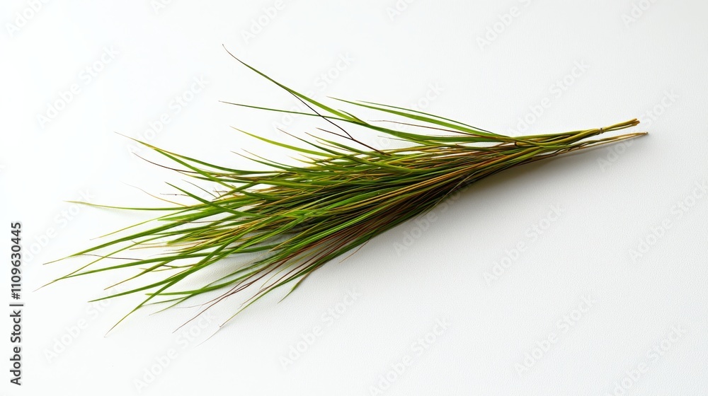A green sprig of grass with slender, elongated leaves, resting on a white surface, showcasing natural textures and colors. A green sprig of grass with slender, elongated leaves, resting on a white surface, showcasing natural textures and colors.