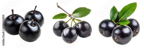 Set of Black ripe Syzygium cumini fruits Dark black java plum isolated on a transparent background