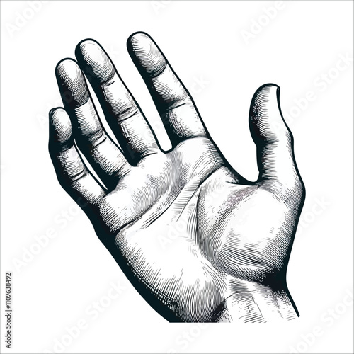 BEST HAND VECTOR  COLORFUL & SILHOUTTE