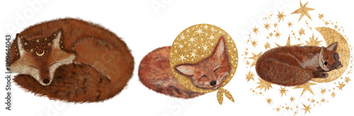 Set of 3 illustrations with foxes on a white backgroundhand drawn . Magical fluffy foxes with stars and moon

transparent background