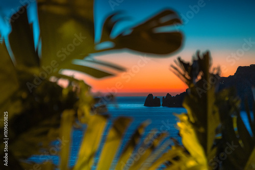 faraglioni of capri island at sunset, seen from the tree, italy photo