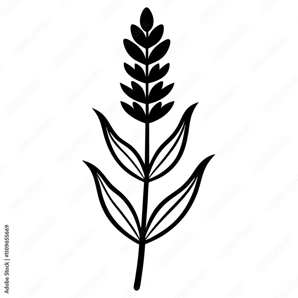 Fototapeta premium Lavender Flower with Leaf Beautiful Floral Design for Print