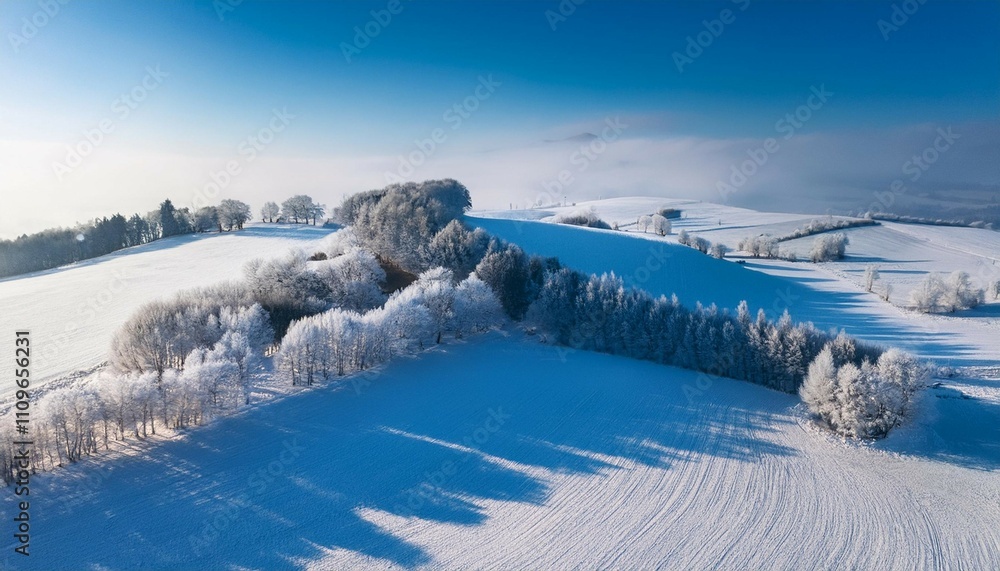 snowy fields with frosty trees on a hill from above snowy fields with frosty trees on a hill from above